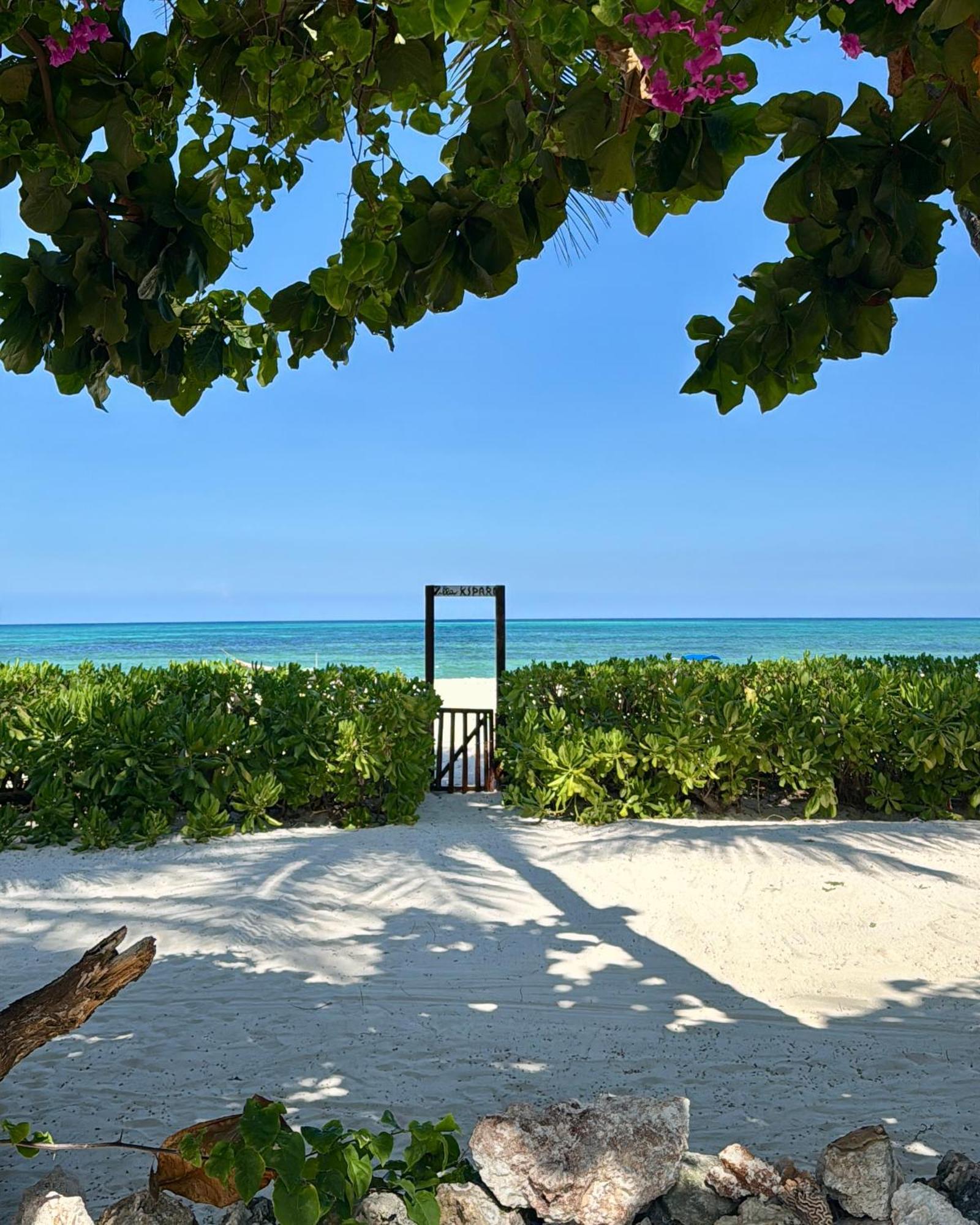 Villa Kipara - Private Beach & Pool Pwani Mchangani Exteriér fotografie